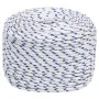 Cuerda de barco polipropileno blanco 10 mm 100 m de vidaXL, Sogas y cuerdas metálicas - Ref: Foro24-152296, Precio: 46,56 €, ...