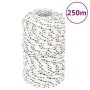 Cuerda para barco trenzada poliéster blanco 2 mmx250 m de vidaXL, Sogas y cuerdas metálicas - Ref: Foro24-152744, Precio: 19,...