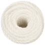Cuerda de trabajo polipropileno blanco 10 mm 250 m de vidaXL, Sogas y cuerdas metálicas - Ref: Foro24-153053, Precio: 68,14 €...