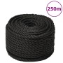 Cuerda de trabajo polipropileno negro 10 mm 250 m de vidaXL, Sogas y cuerdas metálicas - Ref: Foro24-153014, Precio: 70,02 €,...