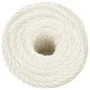 Cuerda de trabajo polipropileno blanco 10 mm 25 m de vidaXL, Sogas y cuerdas metálicas - Ref: Foro24-153050, Precio: 13,70 €,...