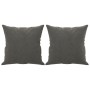 Cojines decorativos 2 uds terciopelo gris oscuro 40x40 cm de vidaXL, Cojines - Ref: Foro24-349486, Precio: 18,09 €, Descuento: %