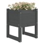 Jardinera 2 unidades madera maciza de pino gris 40x40x52,5 cm de vidaXL, Maceteros y jardineras - Ref: Foro24-822112, Precio:...