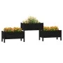 Jardinera madera maciza de pino negro 245,5x44x75 cm de vidaXL, Maceteros y jardineras - Ref: Foro24-822256, Precio: 136,62 €...