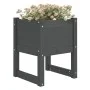 Jardinera de madera maciza de pino gris 40x40x52,5 cm de vidaXL, Maceteros y jardineras - Ref: Foro24-822111, Precio: 39,64 €...