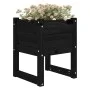 Jardinera 2 unidades madera maciza de pino negro 40x40x52,5 cm de vidaXL, Maceteros y jardineras - Ref: Foro24-822116, Precio...