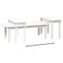 Juego de mesas de centro 2 piezas madera maciza de pino blanco de vidaXL, Mesas de centro - Ref: Foro24-822363, Precio: 78,13...