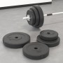 Discos de pesas 6 piezas cemento 30 kg de vidaXL, Peso libre - Ref: Foro24-93599, Precio: 60,72 €, Descuento: %
