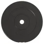 Discos de pesas 6 piezas cemento 30 kg de vidaXL, Peso libre - Ref: Foro24-93599, Precio: 59,87 €, Descuento: %