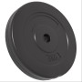 Discos de pesas 6 piezas cemento 30 kg de vidaXL, Peso libre - Ref: Foro24-93599, Precio: 60,72 €, Descuento: %
