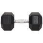 Mancuernas 2 unidades hierro fundido 20 kg de vidaXL, Peso libre - Ref: Foro24-93604, Precio: 102,14 €, Descuento: %