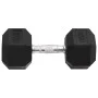 Mancuernas 2 unidades hierro fundido 20 kg de vidaXL, Peso libre - Ref: Foro24-93604, Precio: 99,89 €, Descuento: %