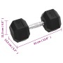 Mancuernas 2 unidades hierro fundido 20 kg de vidaXL, Peso libre - Ref: Foro24-93604, Precio: 102,14 €, Descuento: %