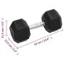 Mancuernas 2 unidades hierro fundido 20 kg de vidaXL, Peso libre - Ref: Foro24-93604, Precio: 99,89 €, Descuento: %