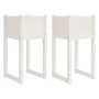 Jardinera 2 unidades madera maciza de pino blanco 40x40x81 cm de vidaXL, Maceteros y jardineras - Ref: Foro24-822125, Precio:...