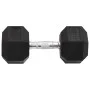 Mancuernas 2 unidades hierro fundido 25 kg de vidaXL, Peso libre - Ref: Foro24-93605, Precio: 111,84 €, Descuento: %