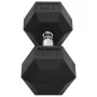 Mancuernas 2 unidades hierro fundido 25 kg de vidaXL, Peso libre - Ref: Foro24-93605, Precio: 111,84 €, Descuento: %