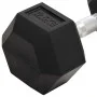 Mancuernas 2 unidades hierro fundido 25 kg de vidaXL, Peso libre - Ref: Foro24-93605, Precio: 111,84 €, Descuento: %