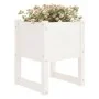 Jardinera madera maciza de pino blanco 40x40x52,5 cm de vidaXL, Maceteros y jardineras - Ref: Foro24-822109, Precio: 40,68 €,...