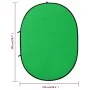 Fondo estudio fotografía ovalado 2 en 1 verde y azul 200x150 cm de vidaXL, Fondos - Ref: Foro24-190250, Precio: 59,52 €, Desc...