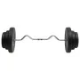 Mancuerna curl con discos 60 kg de vidaXL, Peso libre - Ref: Foro24-3145019, Precio: 149,29 €, Descuento: %