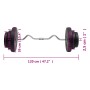 Mancuerna curl con discos 60 kg de vidaXL, Peso libre - Ref: Foro24-3145019, Precio: 156,05 €, Descuento: %