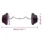 Mancuerna curl con discos 60 kg de vidaXL, Peso libre - Ref: Foro24-3145019, Precio: 149,29 €, Descuento: %