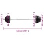 Mancuerna con discos 60 kg de vidaXL, Peso libre - Ref: Foro24-3145020, Precio: 188,92 €, Descuento: %