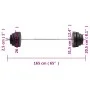 Mancuerna con discos 60 kg de vidaXL, Peso libre - Ref: Foro24-3145020, Precio: 165,72 €, Descuento: %