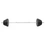 Juego de barras y mancuernas con discos 120 kg de vidaXL, Peso libre - Ref: Foro24-3145032, Precio: 360,48 €, Descuento: %
