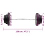 Mancuerna curl con discos 60 kg de vidaXL, Peso libre - Ref: Foro24-3145018, Precio: 152,02 €, Descuento: %