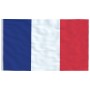 Mástil y bandera de Francia aluminio 5,55 m de vidaXL, Banderas y mangas de viento - Ref: Foro24-3147123, Precio: 64,03 €, De...
