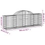 Cestas gaviones 2 uds forma de arco hierro 200x30x60/80 cm de vidaXL, Maceteros y jardineras - Ref: Foro24-3146068, Precio: 1...