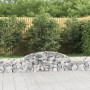 Cestas de gaviones 2 uds forma de arco hierro 300x30x40/60 cm de vidaXL, Maceteros y jardineras - Ref: Foro24-3146467, Precio...