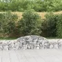 Cestas de gaviones 2 uds forma de arco hierro 300x30x40/60 cm de vidaXL, Maceteros y jardineras - Ref: Foro24-3146467, Precio...