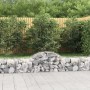 Cestas de gaviones 10 uds forma de arco hierro 200x50x40/60 cm de vidaXL, Maceteros y jardineras - Ref: Foro24-3146265, Preci...