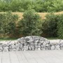 Cestas de gaviones 17 uds forma de arco hierro 300x50x40/60 cm de vidaXL, Maceteros y jardineras - Ref: Foro24-3146660, Preci...