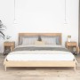 Mesitas noche 2 uds hierro y madera contrachapada 40x30x55,5 cm de vidaXL, Mesitas de noche - Ref: Foro24-352096, Precio: 91,...