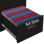 Armario archivador de acero negro 46x62x72,5 cm en Armarios archivadores | Comprar online en Foru.es