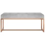 Banco de terciopelo gris 110x36x45 cm de vidaXL, Bancos para recibidores y almacenamiento - Ref: Foro24-350603, Precio: 99,26...