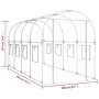 Invernadero PVC acero pintado polvo transparente 160x400x190cm de vidaXL, Invernaderos - Ref: Foro24-317247, Precio: 109,03 €...