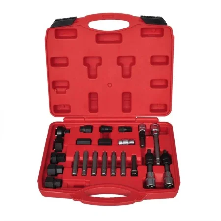 set de eliminación de rueda libre del alternador 22 piezas de vidaXL, Herramientas de mano - Ref: Foro24-210120, Precio: 45,3...