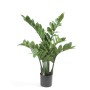 Emerald Planta zamioculca artificial 70 cm de Emerald, Flora artificial - Ref: Foro24-423603, Precio: 55,03 €, Descuento: %