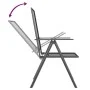 Juego de comedor de jardín 9 piezas acero gris antracita de vidaXL, Conjuntos de jardín - Ref: Foro24-3187984, Precio: 568,66...