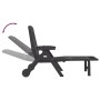 Tumbona plegable con ruedas PP gris antracita de vidaXL, Tumbonas - Ref: Foro24-364698, Precio: 157,93 €, Descuento: %