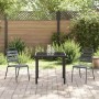 Conjunto de Comedor de Jardín 3 pcs Antracita en Sillas de jardín | Comprar online en Foru.es