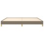Estructura de cama de tela gris taupe 200x200 cm de vidaXL, Camas y somieres - Ref: Foro24-346846, Precio: 126,49 €, Descuent...