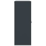 Armario archivador de acero gris antracita 90x40x105 cm en Armarios archivadores | Comprar online en Foru.es