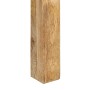 Mesa de centro de madera maciza de mango 55x55x35 cm en Mesas de centro | Comprar online en Foru.es