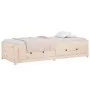 Sofá cama de madera maciza de pino 75x190 cm de vidaXL, Camas y somieres - Ref: Foro24-821599, Precio: 141,46 €, Descuento: %